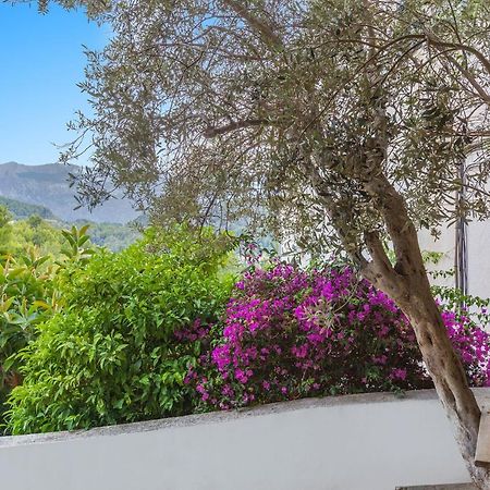 Апартаменти Bellavista 22 Порт-де-Сольєр Екстер'єр фото